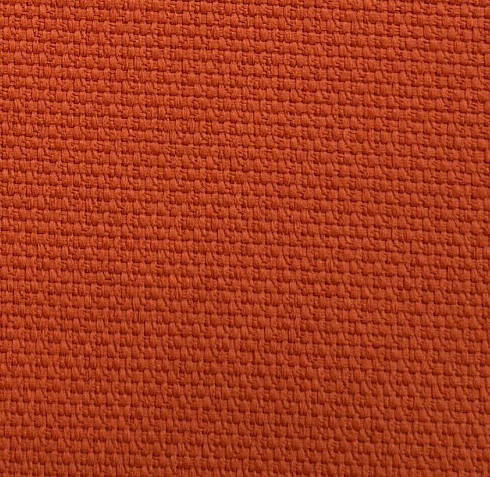 NX-43 Orange Vision