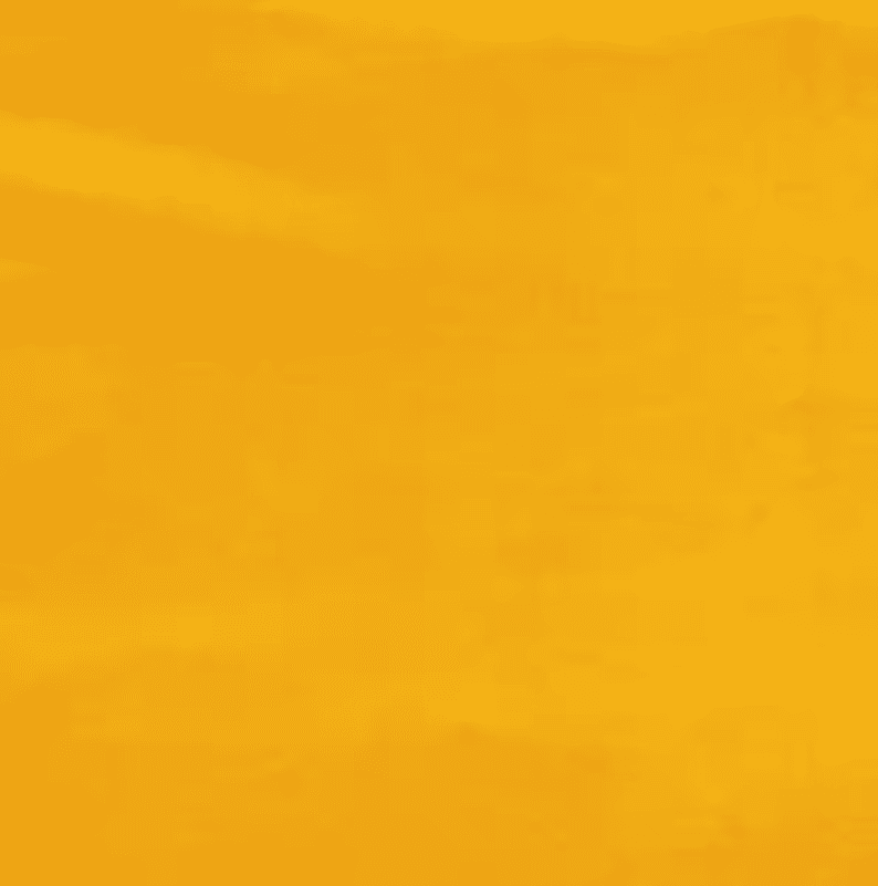 LY-129 Yellow Marigold