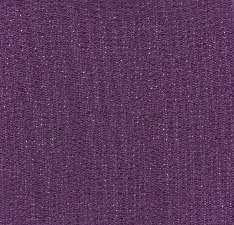 NX-31 Purple Aura